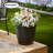Pot Planter