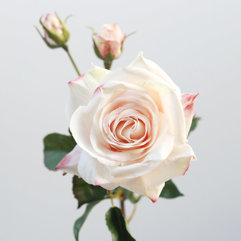 Rose Faux Floral, Pink