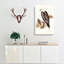 White Bellied Sea Eagle by Elizabeth Gould - Wrapped Canvas-55305440