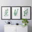 Freshly Picked I - Ensemble de 3 reproductions de cadres photo-456555368-456555362