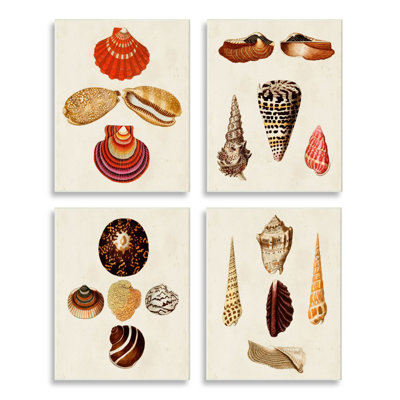 " Vintage Nautical Seashells Warm Red Brown Print " by G.W. Knorr 4 - Pieces