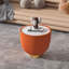 Table basse en forme de tasse-114239818-121934100
