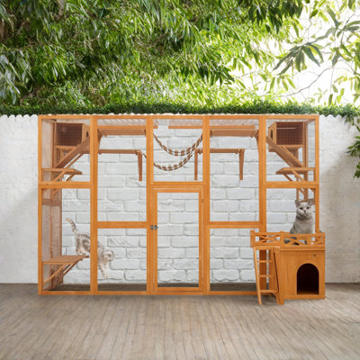 Outdoor Cat House With Box Outside Enclosure And More Space