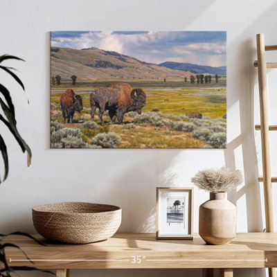 Alvord Valley Splendor