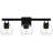 Allionna 3-Light Bath Light-1111064061