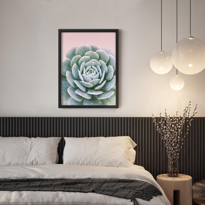 Illustration détaillée de plantes succulentes, texture botanique, petit décor, Noir, H 14 po x l 11 po