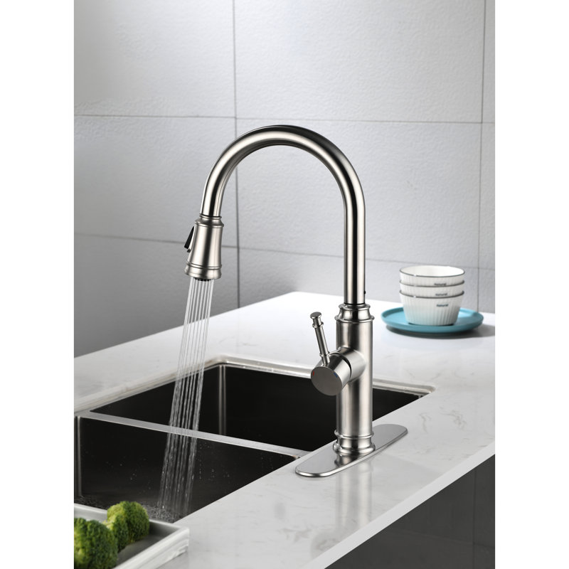 Pull Out Spray Head Kitchen Faucet, Brushed Nickel With Splash Feature Single Lever Sink Rust And Two Water Outputs