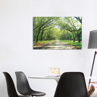 Live Oaks And Spanish Moss Wormsloe State Historic Site Savannah, Georgia by Panoramic Images - Wrapped Canvas Print