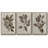 " Arbor Specimen I " 3 - Pieces-97758244-97758250