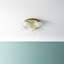 Couvertier Glass LED Flush Mount-225113909-225113910