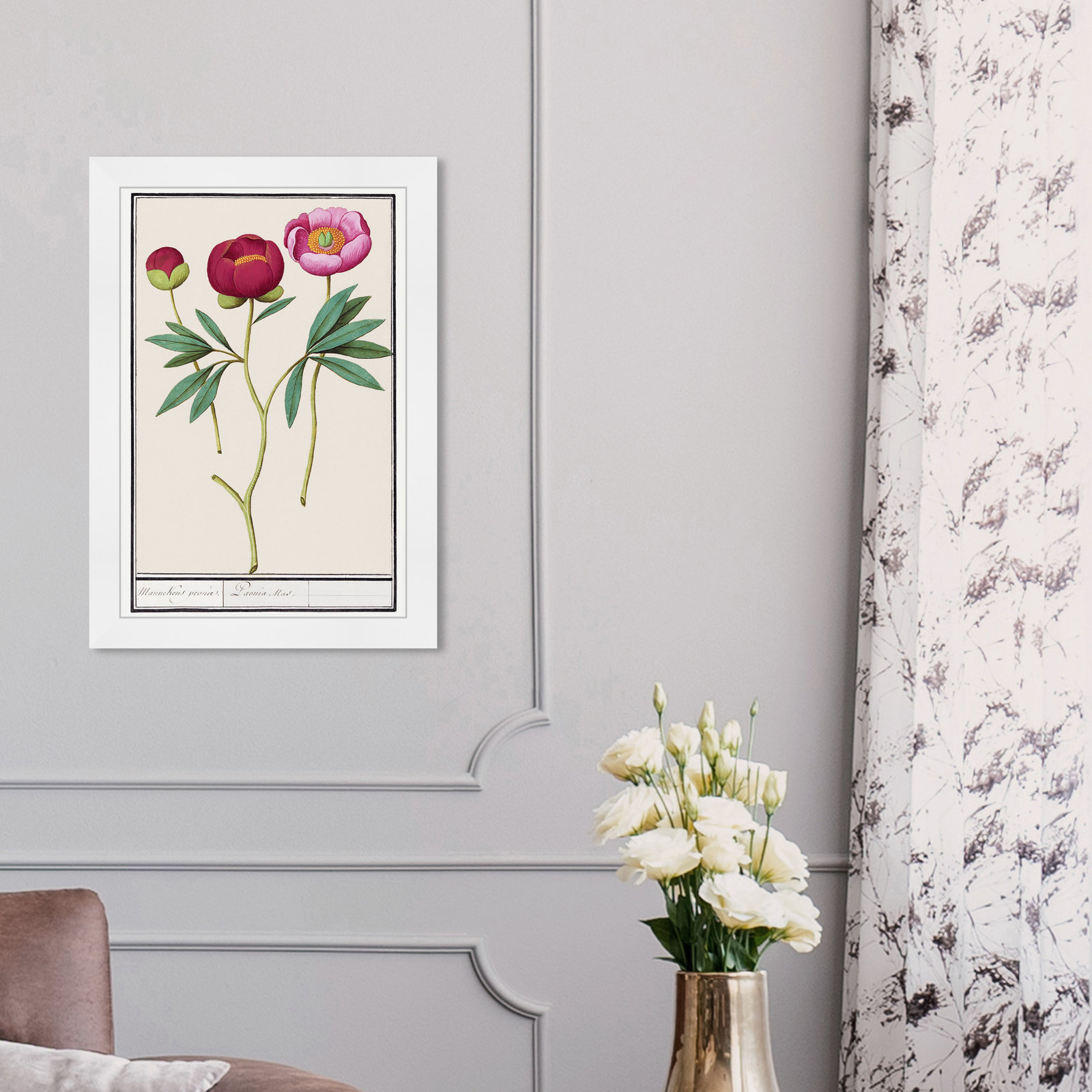 Red and Pink Peony Botanical Study Print, 17" H x 12" W, White