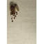 Prisni Hand Tufted Area Rug-474026572-474026574