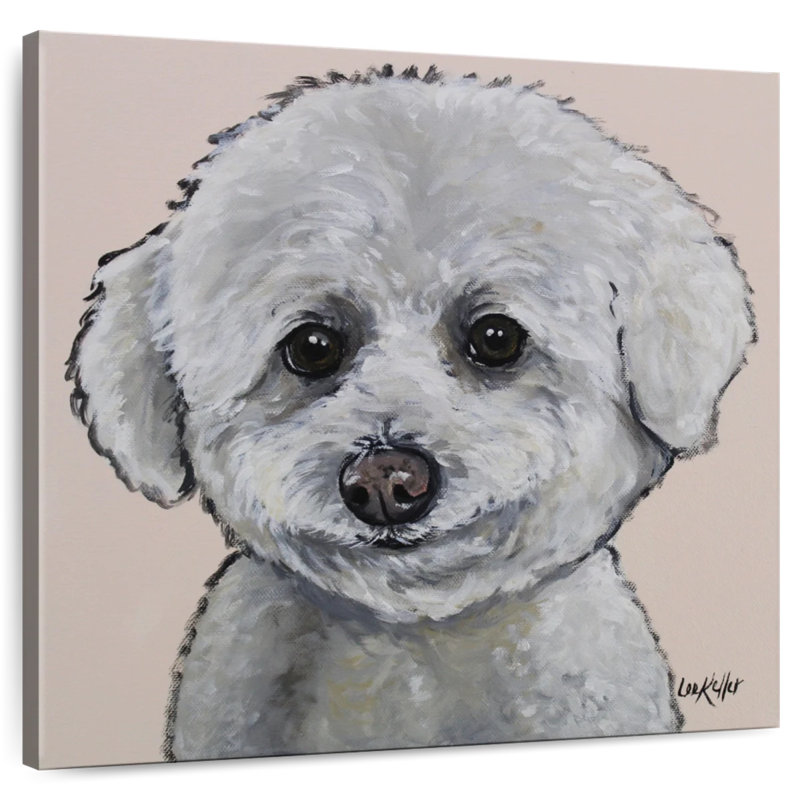 Crowle Bichon Frise Cassie, H 20 po x l 20 po