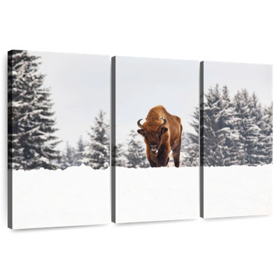 Brampt Bison At Winter Fields