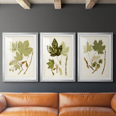 Feuilles antiques IV - impression encadrée sur mesure de qualité supérieure mate - 3 pièces