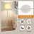 Tripod Sliver Modern Floor Lamp with Foot Switch