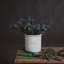 Arrangement-307701900
