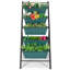 Aunica Vertical Garden