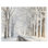" Road Through Frosted Forest "
