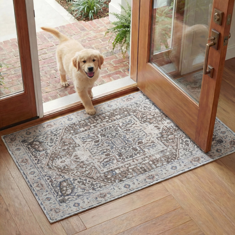 Tapis oriental lavable à la machine Arizona Performance, Rectangle 2 pi 3 po x 4 pi