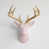 Light Pink/Gold