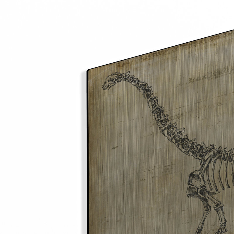 «Brachiosaurus Study» par Ethan Harper, art mural en métal, 36 po x 24 po, H 16 po x l 24 po
