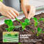 Raised Garden Bed