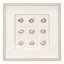 Décoration murale collection Seashell