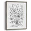 «B&W Plant Speciment», reproduction encadrée - bois massif-1321837574