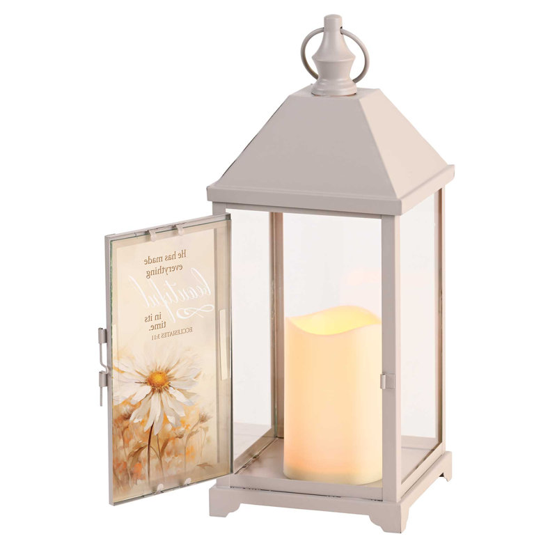 Lantern Most Beautiful Blooms