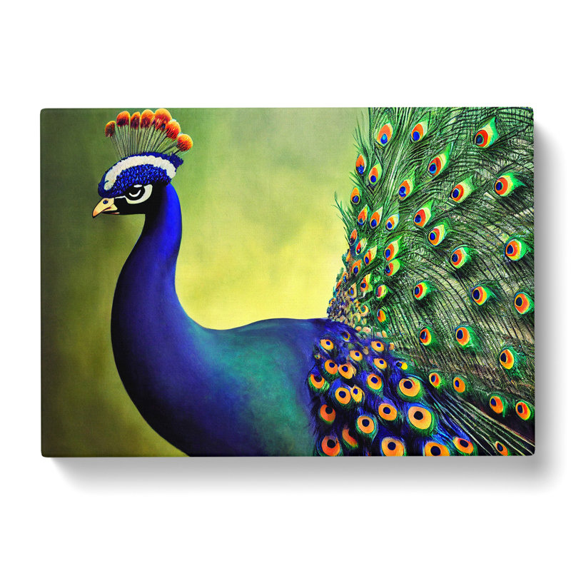Fine Peacock - Wrapped Canvas, 40cm H x 60cm W x 3cm D