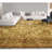 Hand Knotted Wool Indoor Rug