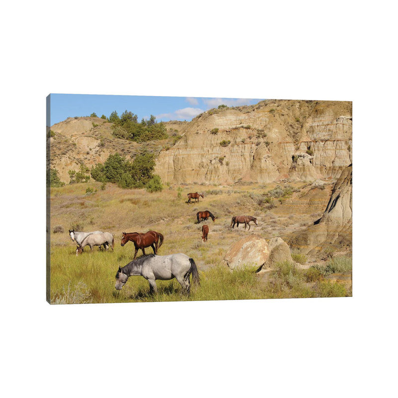 Badlands Herd by Brian Wolf - Wrapped Canvas Print, 20.32cm H x 30.48cm W x 1.91cm D