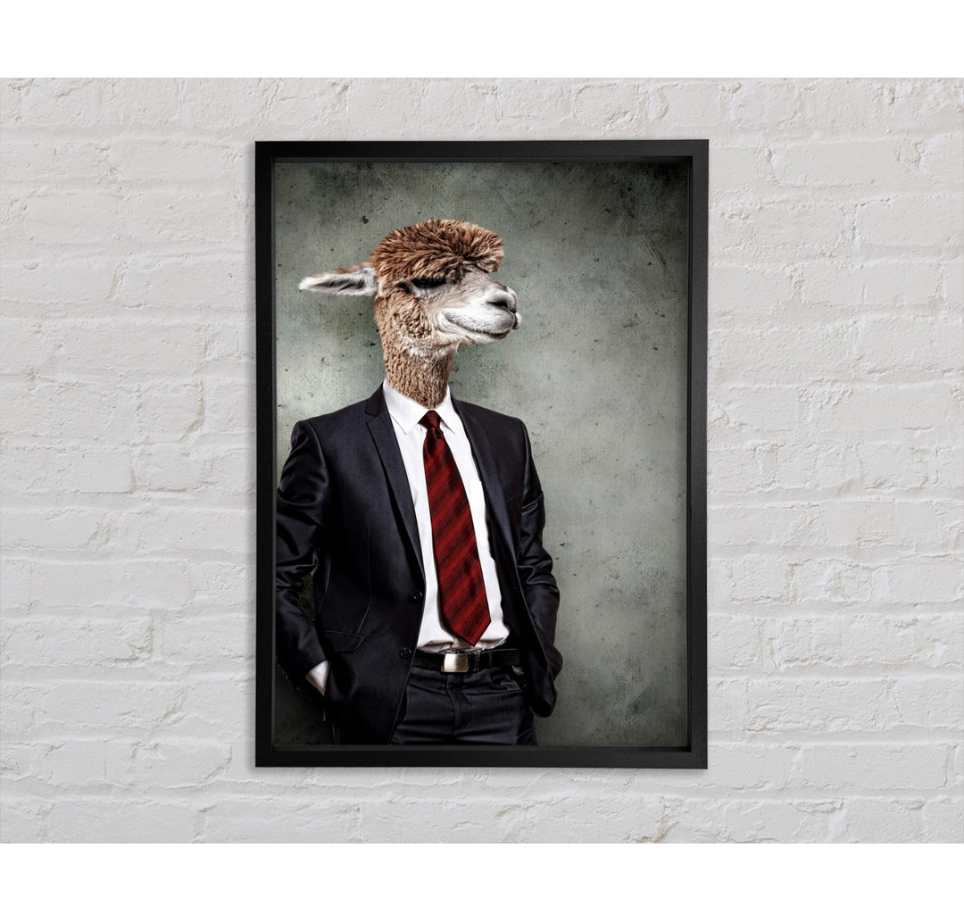 Business Llama Gerahmter Druck