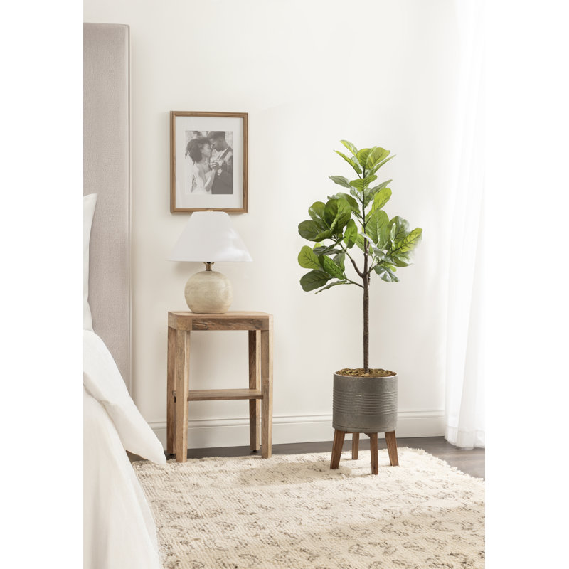 Figuier à figuier avec pot Gavri, H 55,24 po x l 19,69 po x P 15,75 po, Gris