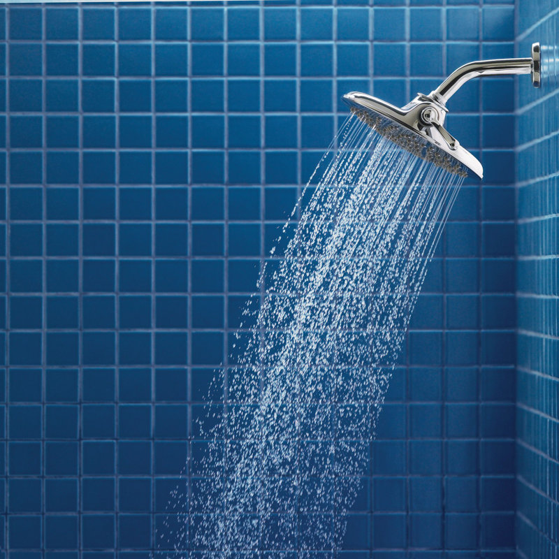 Velocity 2.5 GPM Multi Function with Immersion, Chrome