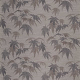 Acer Wallpaper