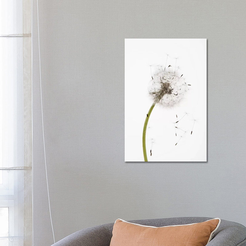 Close-Up Dandelion Seeds - Wrapped Canvas Print, 66.04 cm H x 45.72 cm W x 3.175 cm D