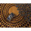 Tapis beige / brun Apex-20250097
