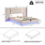 Chyou Upholstered Ottoman Storage Bed-705653201
