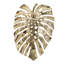 Décoration murale feuille d'or Monstera-603888011