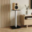 55cm Fixed Height Speaker Stand