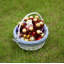 Panier général Gracie Oaks QI004620-88121878