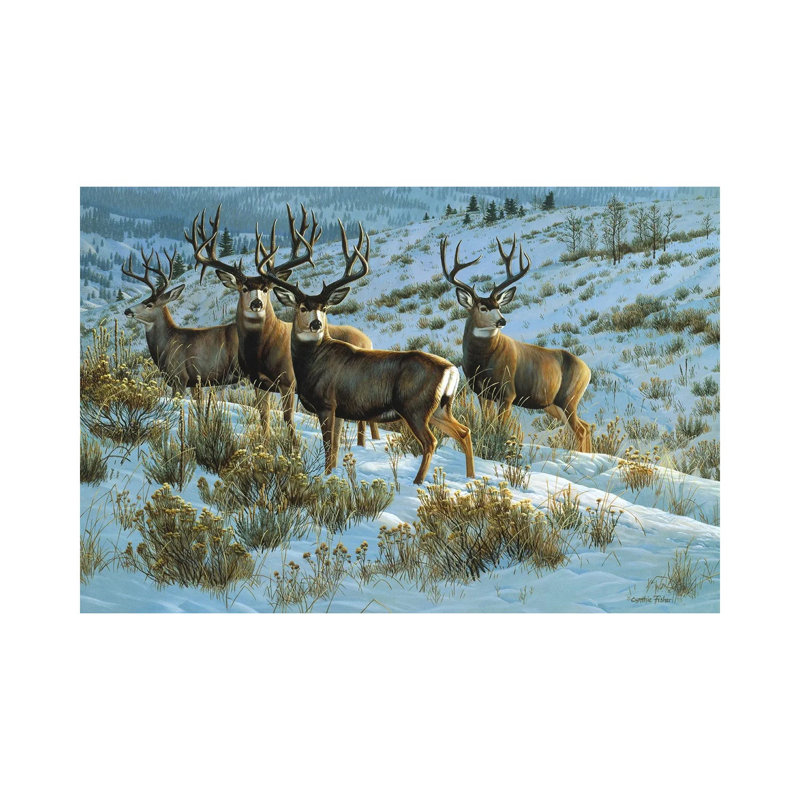 Impression sur toile tendue "Mledeer" par Cynthie Fisher, H 18 po x l 26 po x P 1,5 po