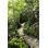 Sentier de montagne