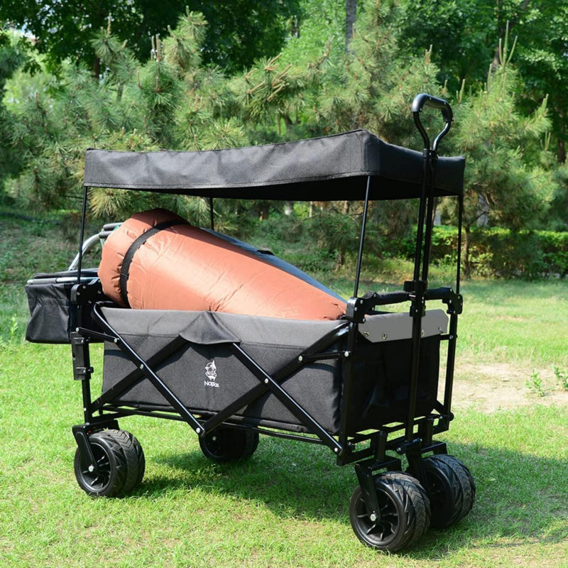 Le chariot de camping pliable à structure en acier supporte 220 lb, Noir/gris