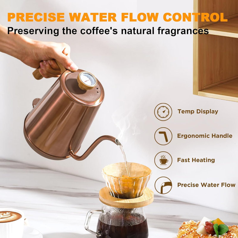 Basowin Gooseneck Electric Kettle(1.0L),1000W Electric Tea Kettle Of 304 Stainless Steel,Auto Shut Off,Coffee Kettle For Pour Over And Tea