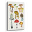 Art mural en verre épique «Forest Mushroom 2 C» par Farida Zaman, 12 po x 16 po