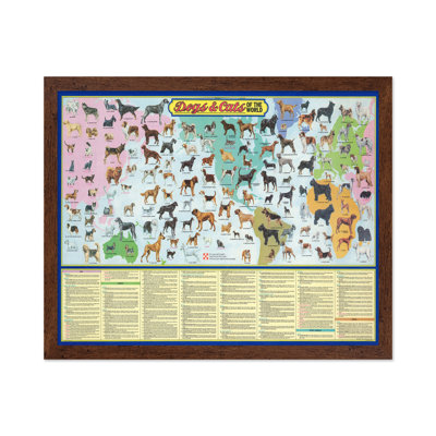 Dogs and Cats of the World