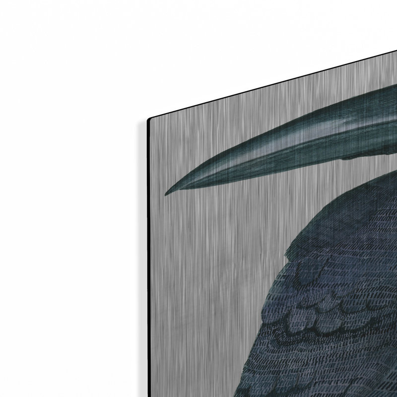 «Raven» par Jeannine Saylor, H 36 po x l 24 po